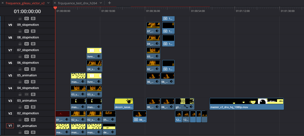 frequence_montage_video.png